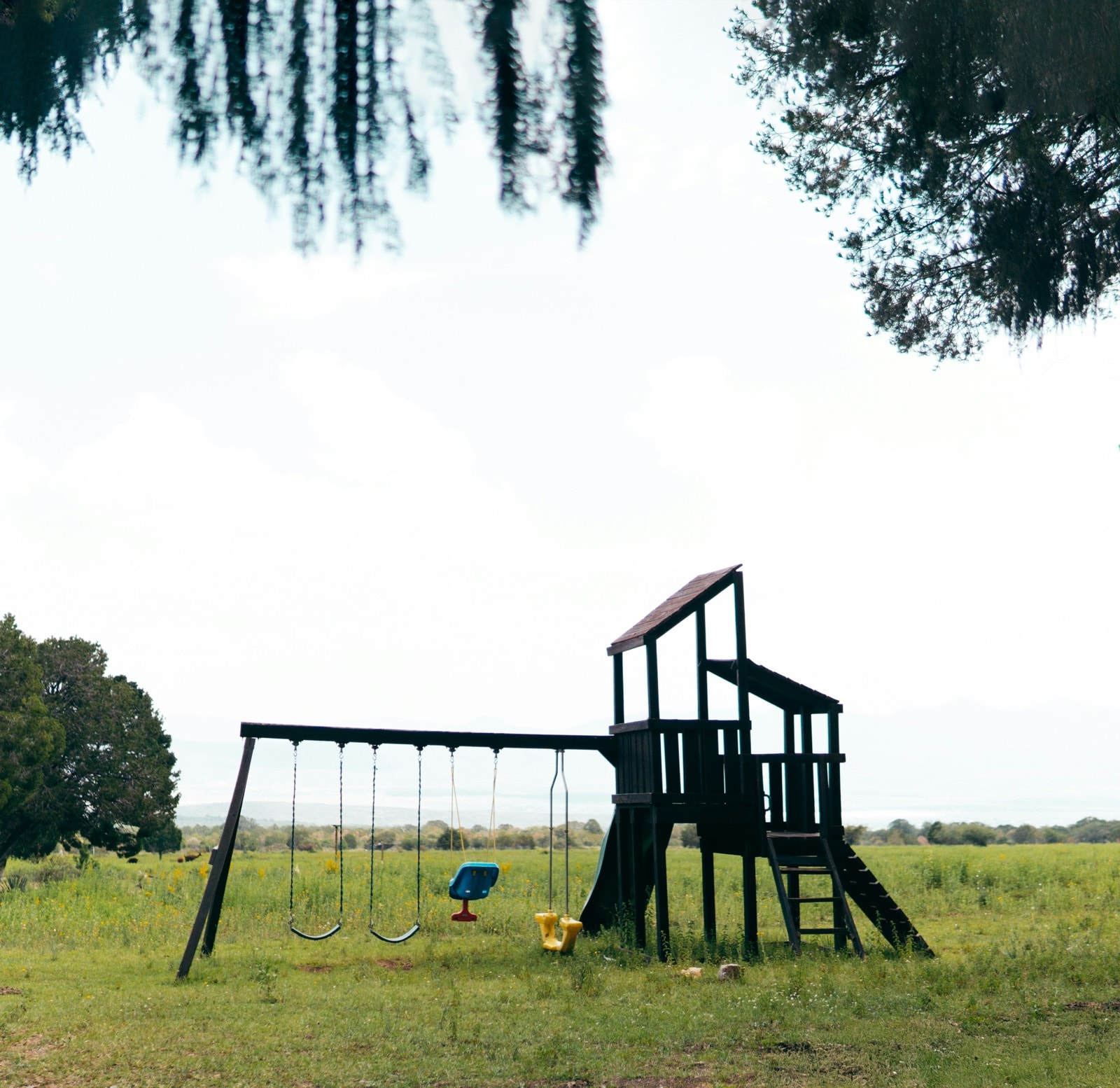 Old wooden backyard play structure with swings and slide, ready for playset removal