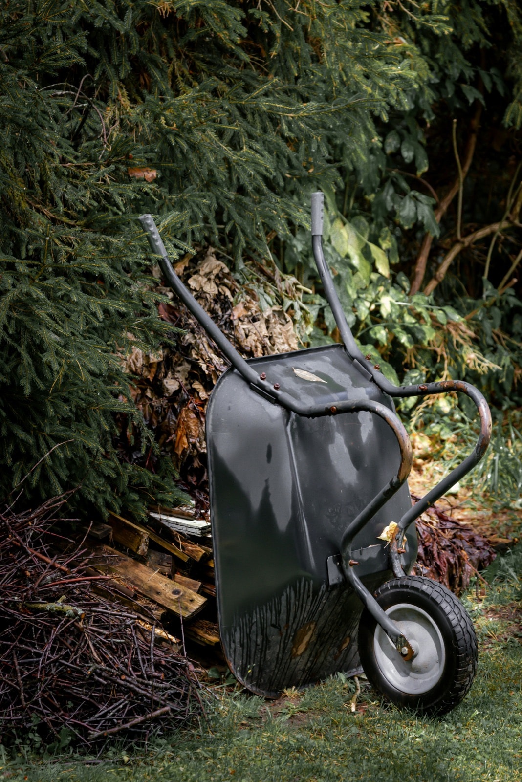 Wheelbarrow beside a pile of branches, brush and old lumber waiting for yard waste removal